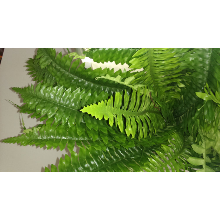 Gracie Oaks Faux Fern Plant & Reviews Wayfair Canada